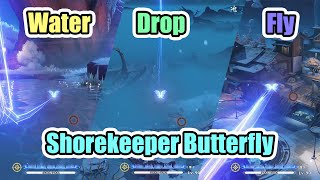 SHOREKEEPER BUTTERFLY VS VARIOUS TERRAIN SSS TIER EXPLORATION  Wuthering Waves [upl. by Castera]