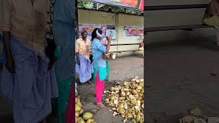 Coconut water in India 45 india coconut shorts skills perfection water fresh machete [upl. by Itch]