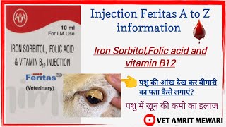 Injection Feritas use in animal  Iron Sorbitol Folic acid and vitamin B12  veterinary  anemia [upl. by Botti]