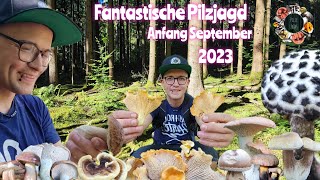 Fantastische Pilzjagd die schönste Sammelzeit ist da Anfang September 2023 [upl. by Mcnutt637]