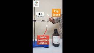 Reaction of Magnesium with Sulphuric Acid experiment science [upl. by Gatian]