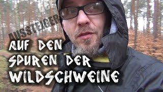 Auf den Spuren der Wildschweine  der AUSSTEIGER [upl. by Staal538]