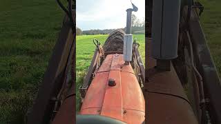 Moving old hay Farmall 806 Diesel diy farming tractor [upl. by Marline]