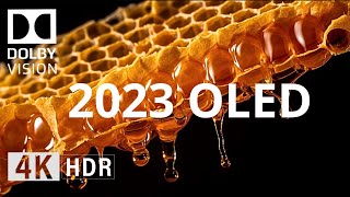 2023 OLED Demo  BLACK Details in 4K HDR 60fps [upl. by Immak]