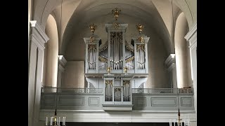 Orgel des Monats Hollabrunn [upl. by Analla]