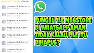 Fungsi Msgstore Di Whatsapp Aman Tidak Kalau Msgstoredbcrypt12 Dihapus [upl. by Nilyac]