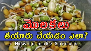 మొలకలు చేయడం ఎలా  Molakalu ela tayaru cheyali  Making of Sprouts  Molakettina ginjalu  VRK Diet [upl. by Gardol]