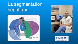 La segmentation hépatique [upl. by Myrna493]