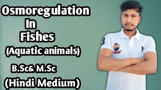 Osmoregulation  Full Complete Question Hindi Medium [upl. by Earal]