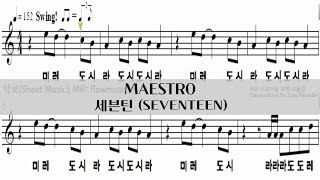 세븐틴  MAESTRO 리코더악보 마에스트로 [upl. by Lundgren]