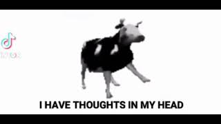 Polish Cow Song English Lyrics [upl. by Yenffit]