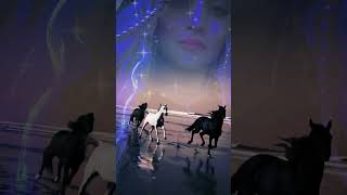 ✨SPIRIT LEAD ME✨ spiritleadme spirit god faith trust viralvideo spirituality horse love [upl. by Lenad]