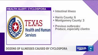 Dozens of people sick due to cyclospora parasite [upl. by Olaznog]