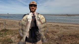 Packery Channel Fishing  Catching Black Drum for Dinner [upl. by Anoiek152]