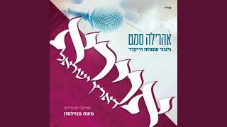 Freilach Medley מחרוזת פריילעך 1 [upl. by Nosnhoj]