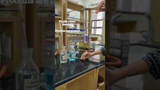 Biuret Test For Proteins  Biuret Test In One Minute biochemistry proteins biurettest [upl. by Greenwell189]