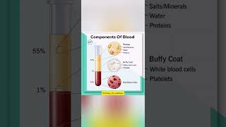 Components of Blood viralvideo anatomy medical neet neetmotivation clinicalanatomy science [upl. by Estele237]