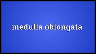 Medulla oblongata Meaning [upl. by Milks]