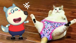 How Funny  Little Cat vs Wolfoo Animation 😾🐶 Wolfoo in Real Life  Funniest Cats And Dogs Videos [upl. by Boni]