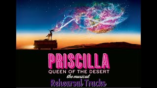 Priscilla  27  MacArthur Park [upl. by Massie]