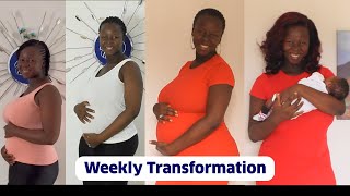 Pregnancy Transformation Week by Week [upl. by Ahsenac]