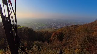 Paragliding Ölberg Schriesheim  herbstlicher Sonnenschein 09112024 [upl. by Nuahsak]