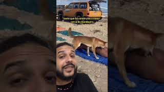 Ela foi MORDIDA por um cachorro selvagem  Biomesquita [upl. by Iot]