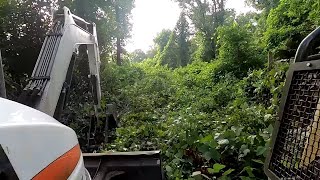 Cleaning up Kudzu [upl. by Eilla]