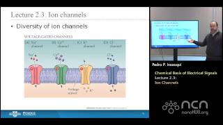 nanoHUBU Bioelectricity L23 Chemical Basis  Ion Channels [upl. by Filide]