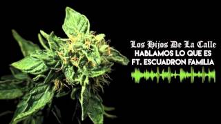 Los Hijos De La Calle  Hablamos Lo Que Es Remix ft Escuadron Familia Prod by Robiel Music [upl. by Sacrod]