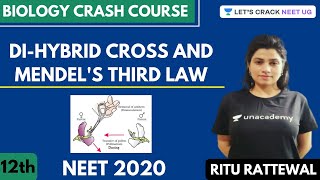 DiHybrid Cross and Mendels Third Law  Biology Crash Course  Class 12th  NEET Biology [upl. by Atiuqaj139]