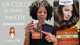 Comment teindre ses cheveux à la maison coloration PALETTE teinte Châtain Chocolat  Test [upl. by Enahsal715]