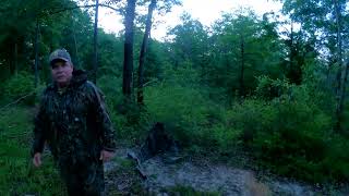 Alabama turkey hunting 2024 with Scott Wiley Day 2 [upl. by Carri]