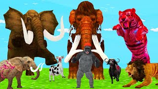 20 Woolly Mammoth Elephant Cow vs 10 Zombie Lion Tiger Attack Gorrilla Saved By Woolly Mammoth [upl. by Aneryc]