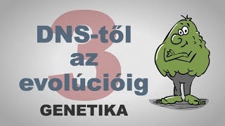 A DNStől az evolúcióig  csak egyszerűen 3 rész [upl. by Mowbray]