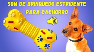 5 Sons de Brinquedo Estridente para Cachorro Virar a Cabeça e Brincar  Dog Squeaky Toy [upl. by Aihc797]