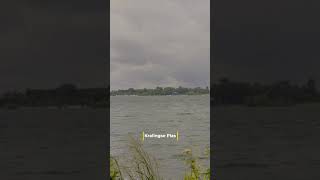 Kralingse Plas Lake in Rotterdam The Netherlands  Part 3 shorts [upl. by Nyrat689]