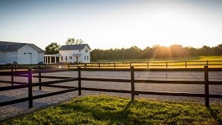 Buckley Steel Board Horse Fence [upl. by Oler811]