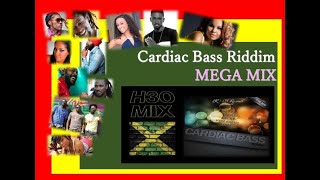 Cardiac Bass Riddim MEGA MIX [upl. by Madelina]