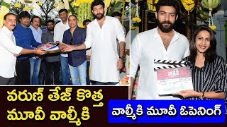 Valmiki Movie Opening  Director Harish Shankar Hero Varun Tej New movie Niharika  Cinema Politics [upl. by Veradis922]