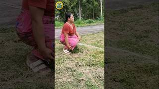 FUNNY Shorts Funny Video Hilarious fails memes tiktok [upl. by Benny]