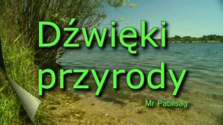 Dźwięki przyrody  sounds of nature [upl. by Nevil952]