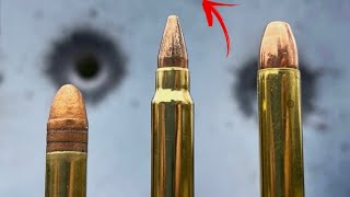 22LR vs 17 HMR vs 22 MAG Never Would’ve Guessed [upl. by Akenn]