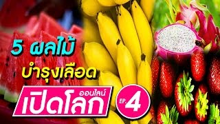 5 ผลไม้บำรุงเลือด  เปิดโลกออนไลน์ ตอนที่ 4 [upl. by Bertina]