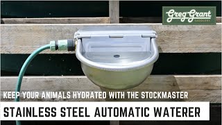 Keep Your Animals Hydrated with the StockMaster Stainless Steel Automatic Waterer [upl. by Trey]