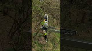 Trim Trees with Ease Multi Carrier Puma 2803 farming treemaintenance [upl. by Ibrik]