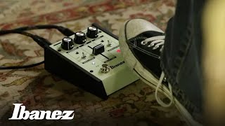 ES2  Echo Shifter Analog Delay [upl. by Uah]