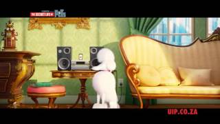 The Secret Life Of Pets  TV Spot [upl. by Grof]