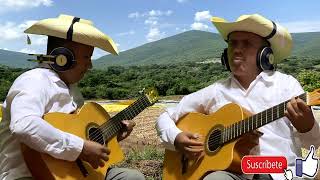 El Ándale en vivo  Instrumental con Guitarras  Hermelando y Mr H  Y Ándale  Bertin y Lalo [upl. by Inar159]