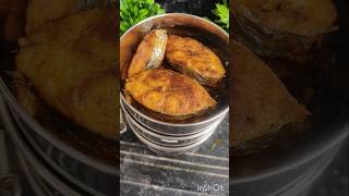 Todays lunch box  vanjaram fishfry fish kulambu dragon fruit ytshorts viralvideo trending [upl. by Aiyotal]